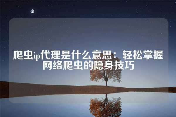 爬虫ip代理是什么意思：轻松掌握网络爬虫的隐身技巧