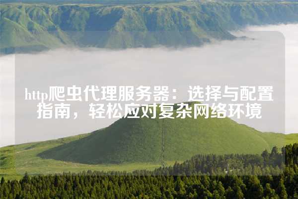 http爬虫代理服务器：选择与配置指南，轻松应对复杂网络环境