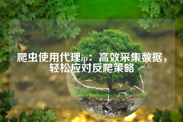 爬虫使用代理ip：高效采集数据，轻松应对反爬策略