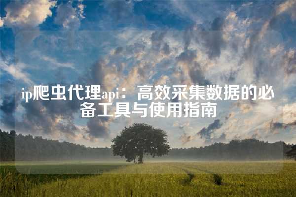 ip爬虫代理api：高效采集数据的必备工具与使用指南