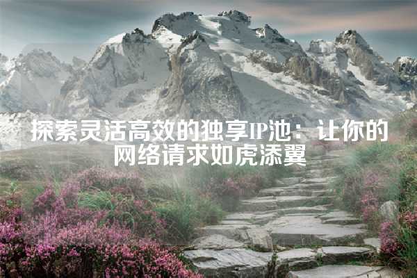 探索灵活高效的独享IP池：让你的网络请求如虎添翼