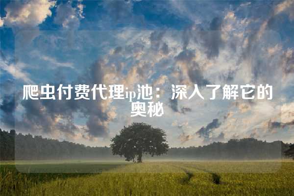 爬虫付费代理ip池：深入了解它的奥秘