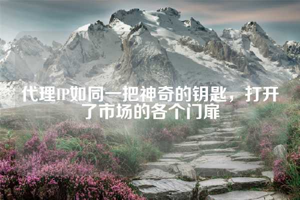 代理IP如同一把神奇的钥匙，打开了市场的各个门扉