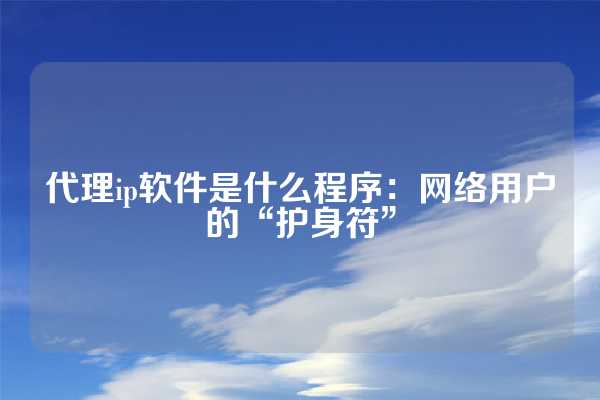 代理ip软件是什么程序：网络用户的“护身符”