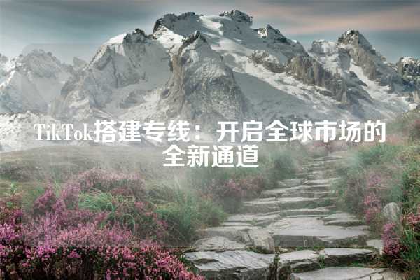 TikTok搭建专线：开启全球市场的全新通道