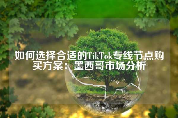 如何选择合适的TikTok专线节点购买方案：墨西哥市场分析