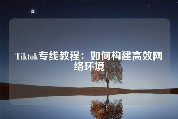 Tiktok专线教程：如何构建高效网络环境