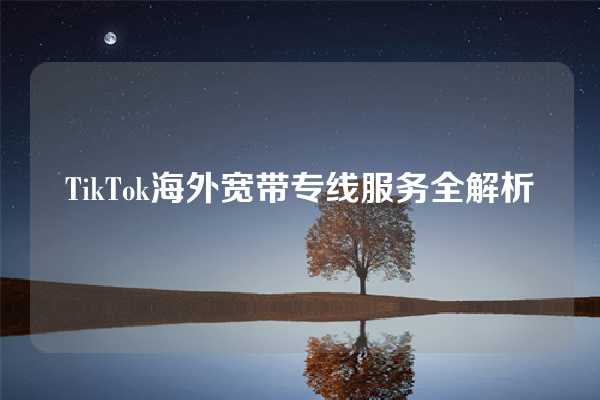 TikTok海外宽带专线服务全解析