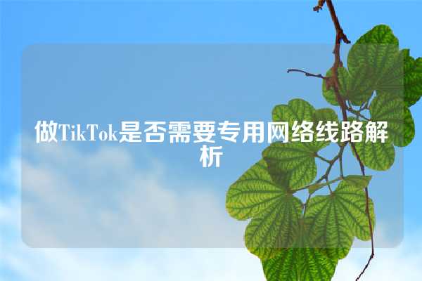 做TikTok是否需要专用网络线路解析