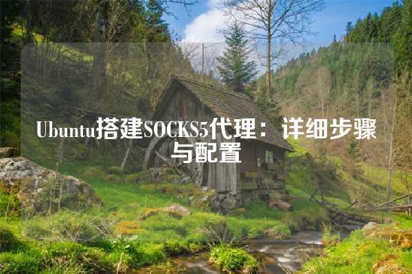 Ubuntu搭建SOCKS5代理：详细步骤与配置