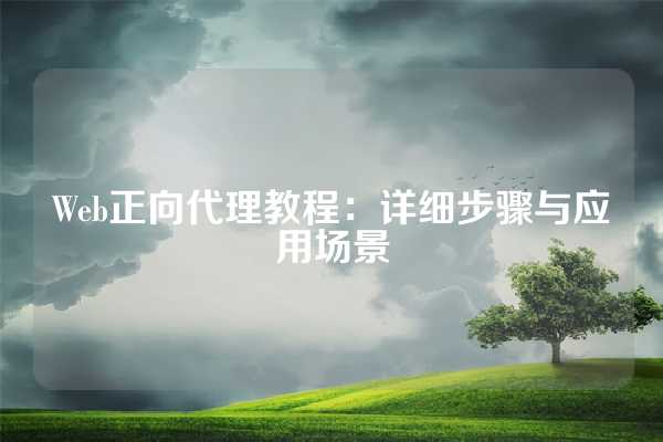 Web正向代理教程：详细步骤与应用场景