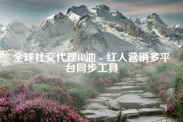 全球社交代理IP池 - 红人营销多平台同步工具